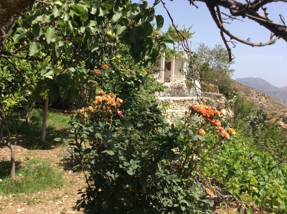 La Villa Di Zazopetra Menetai Екстер'єр фото